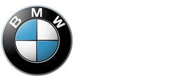 BMW33
